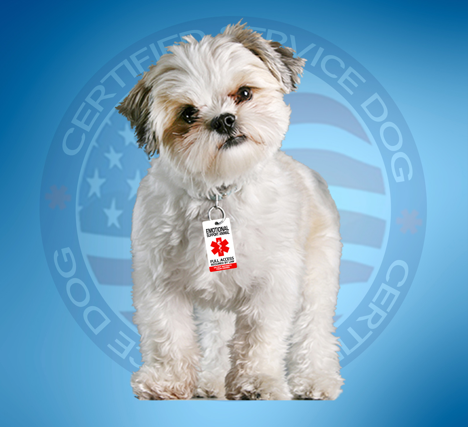2x Emotional Support Animal ID Tags – 1 Low Price – USA Shipped!