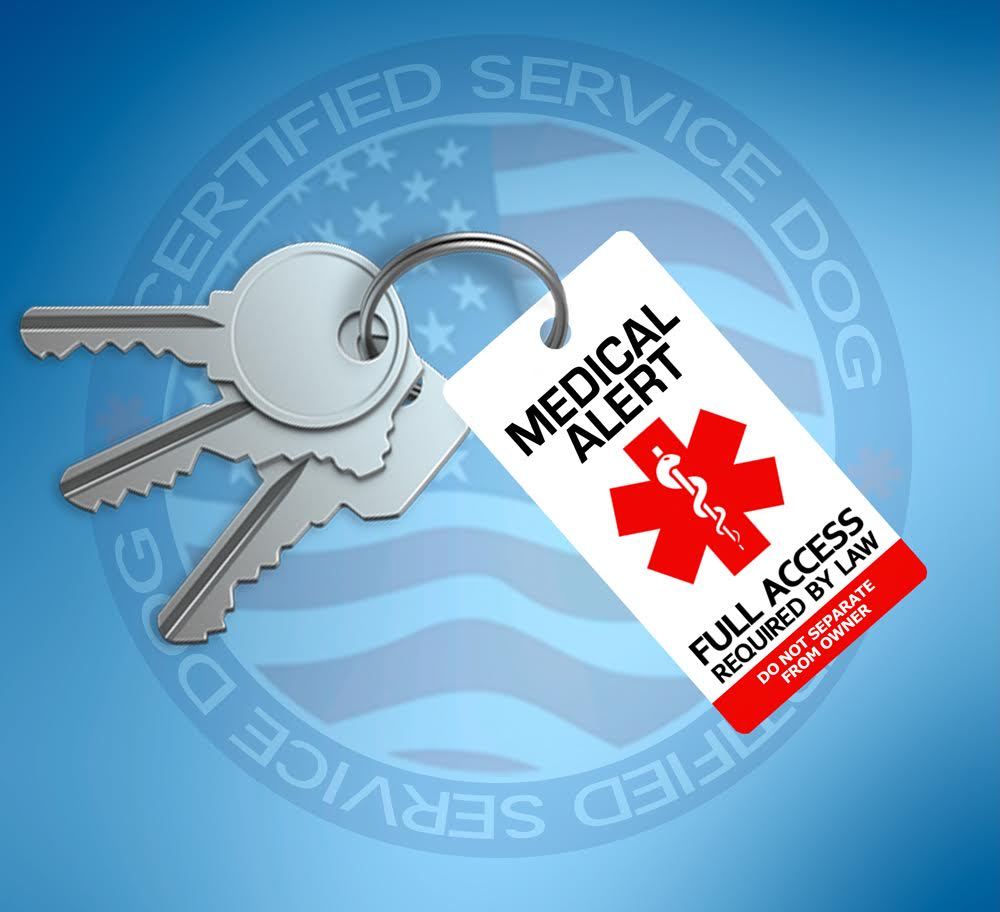 MEDICAL ALERT SERVICE DOG ID TAG KEY CHAIN / COLLAR TAGS FOR SERVICE ANIMAL ADA