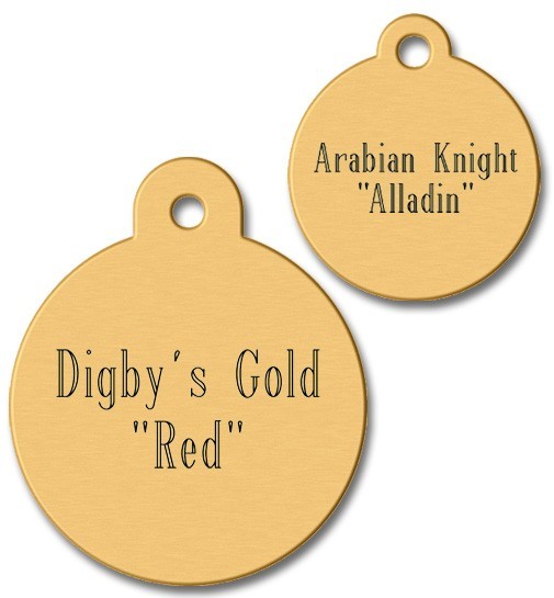 Solid Brass Horse, Dog or Cat Diamond Custom Engraved ID