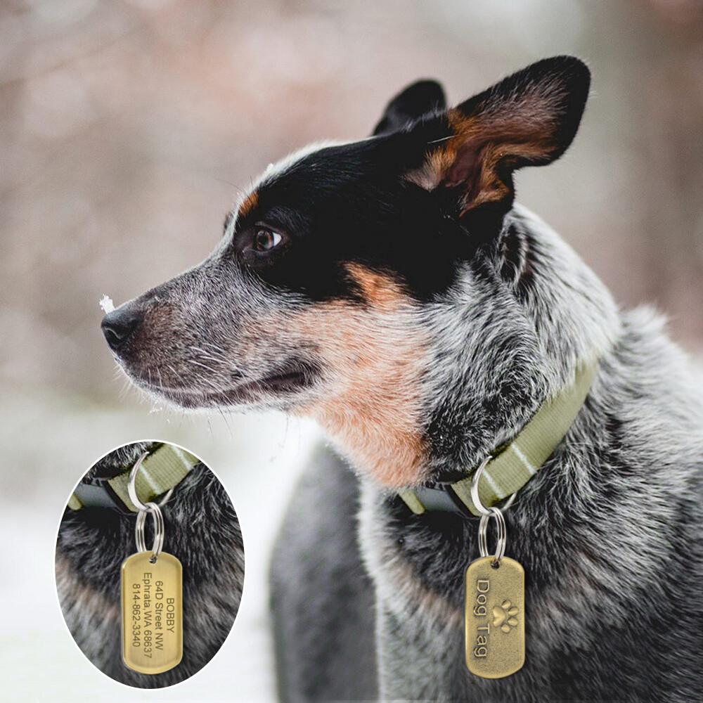 BRASS DOG TAGS MILITARY PERSONALIZED CUSTOM PET NAME ID ENGRAVED FOR COLLAR