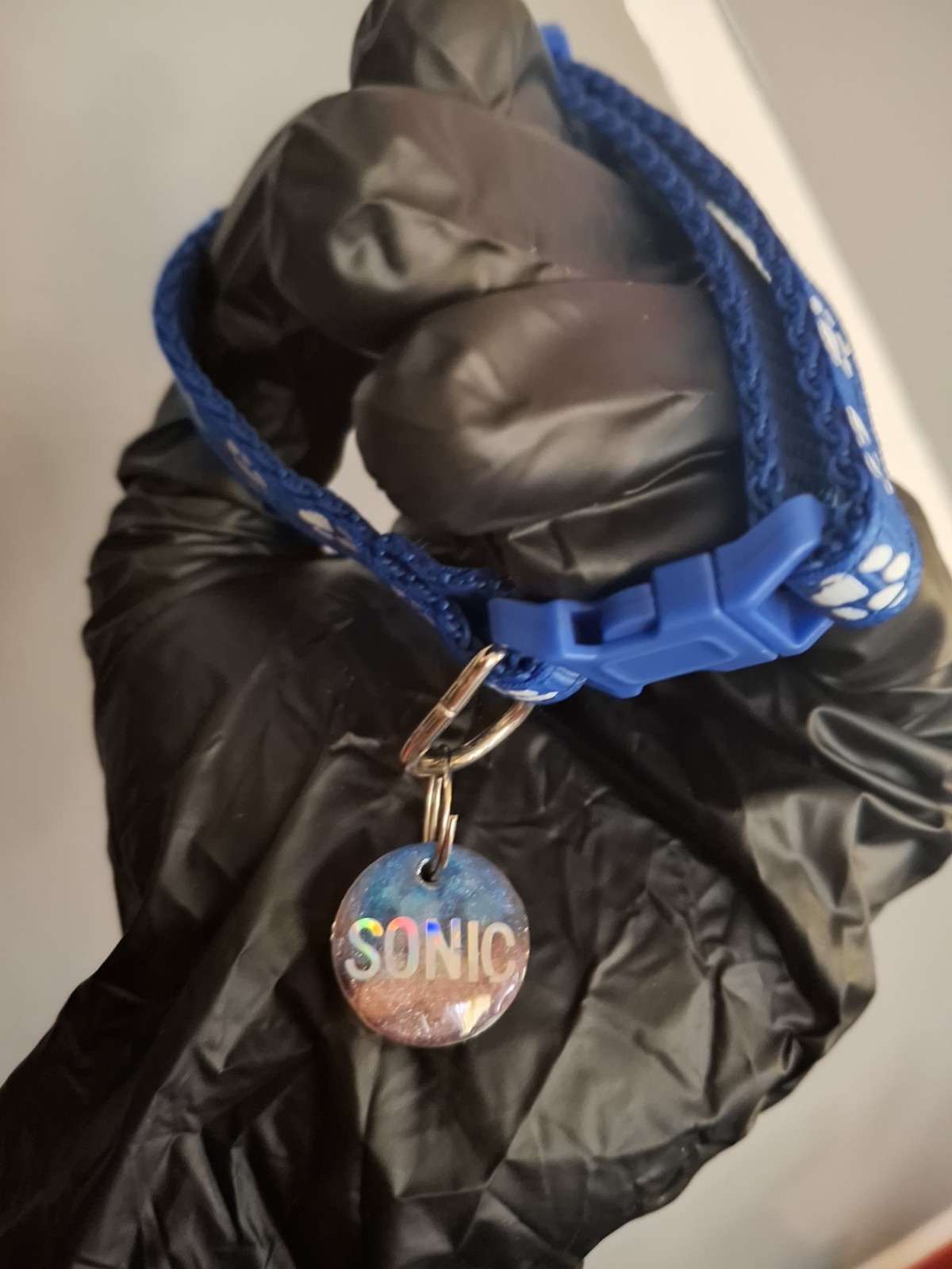Collar personalizado para mascotas Sonic