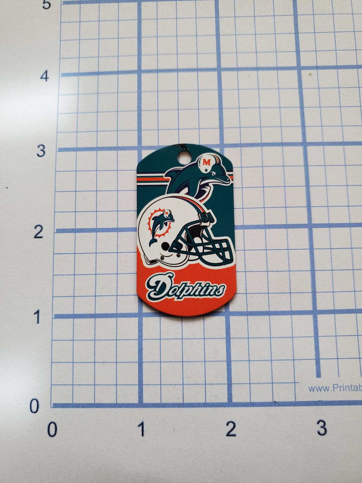 Custom Engraved NFL Football Dog Tag – Necklace – Keychain – Luggage – Pet Tag