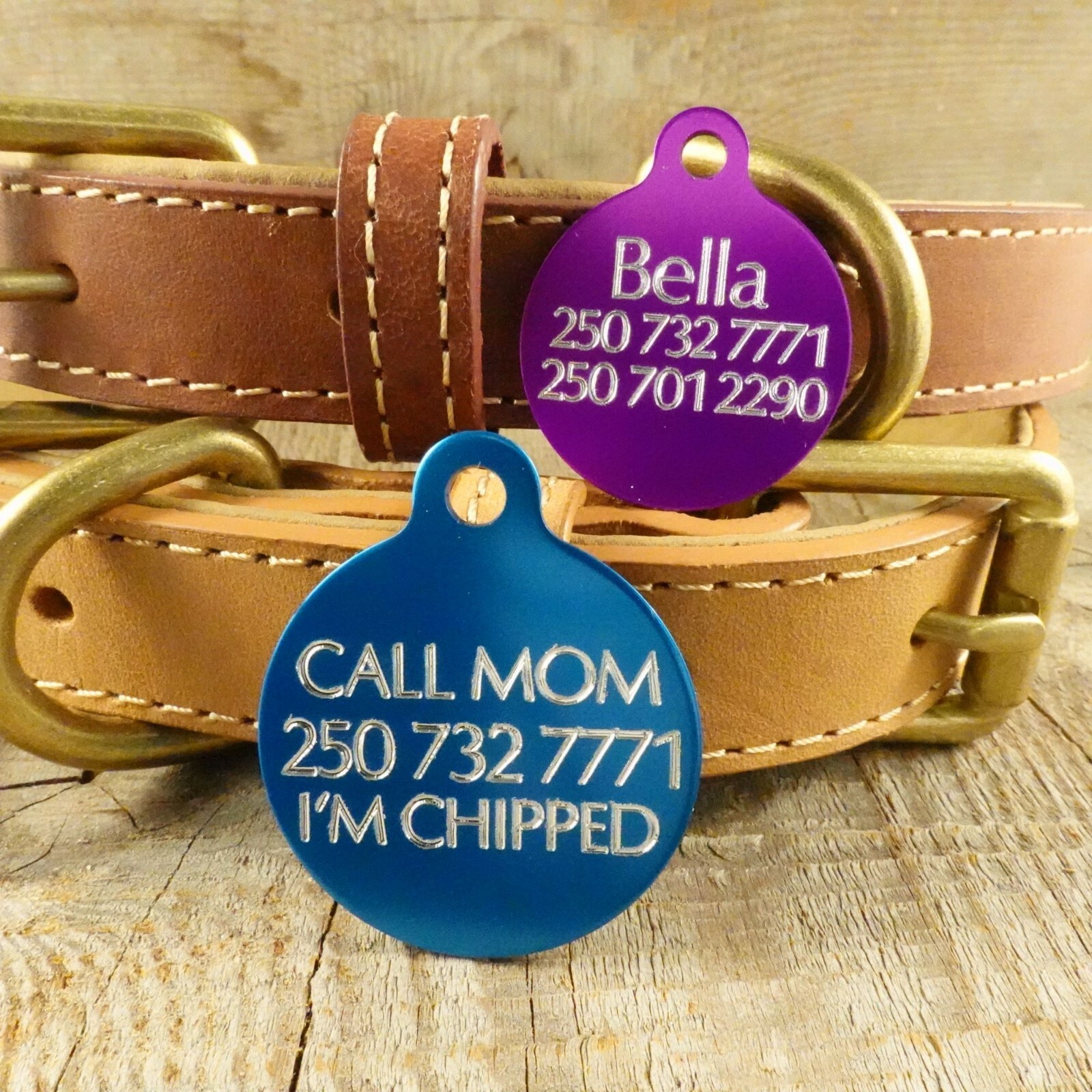 PET TAG DOG CIRCLE CUSTOM DIAMOND ENGRAVED PAW DETAILS ON BACK 2 SIZES WITH RING