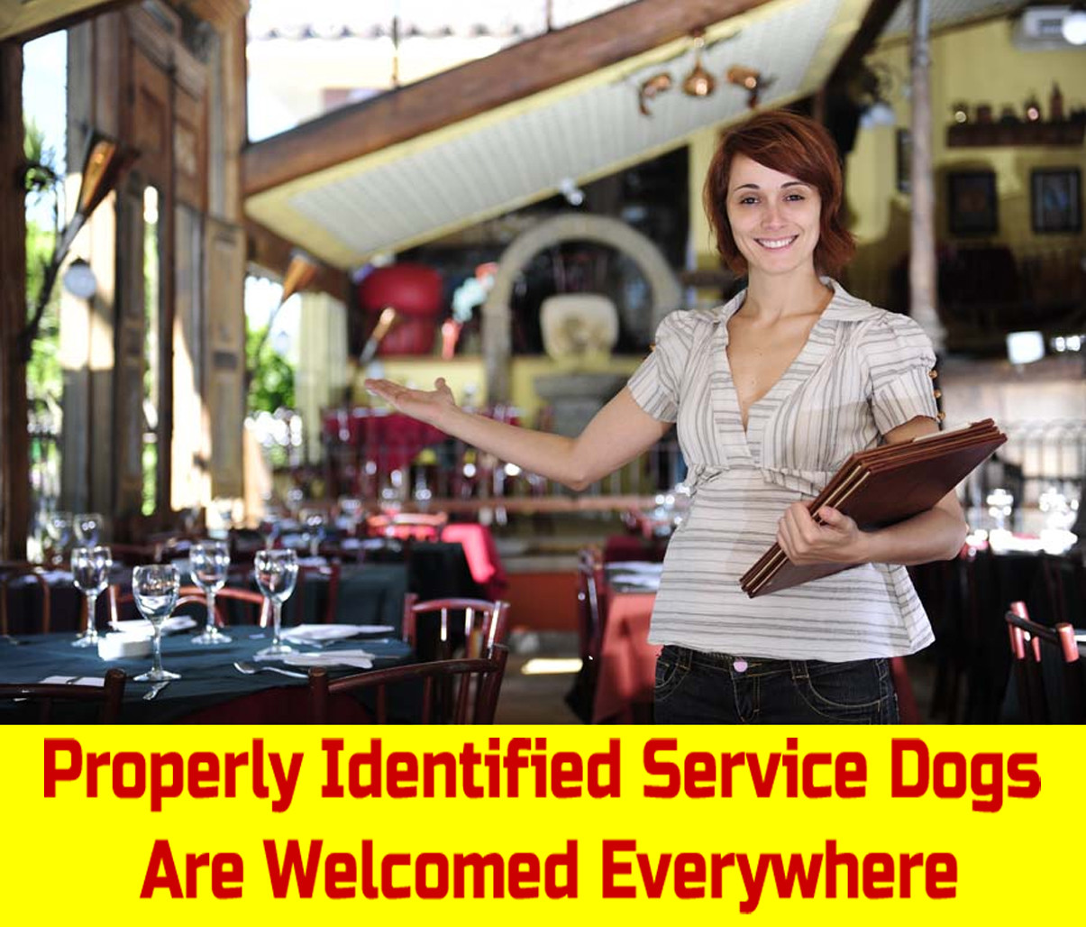 Holographic Service Dog ID w/QR Code & ID Holder Plus Digital Copy-Landscape