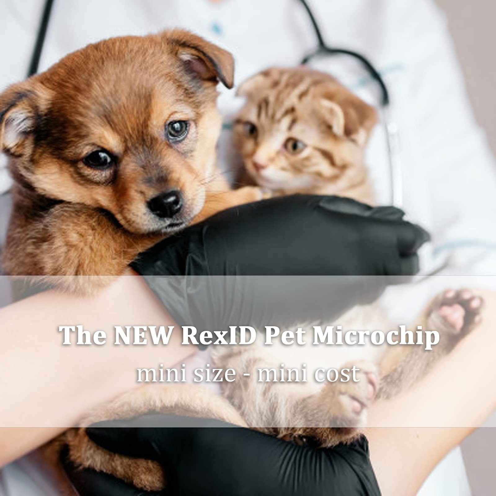1 PCS Pet Microchip Implant Kit 1.25mm x 7mm Smart ID Tag Phone Connect