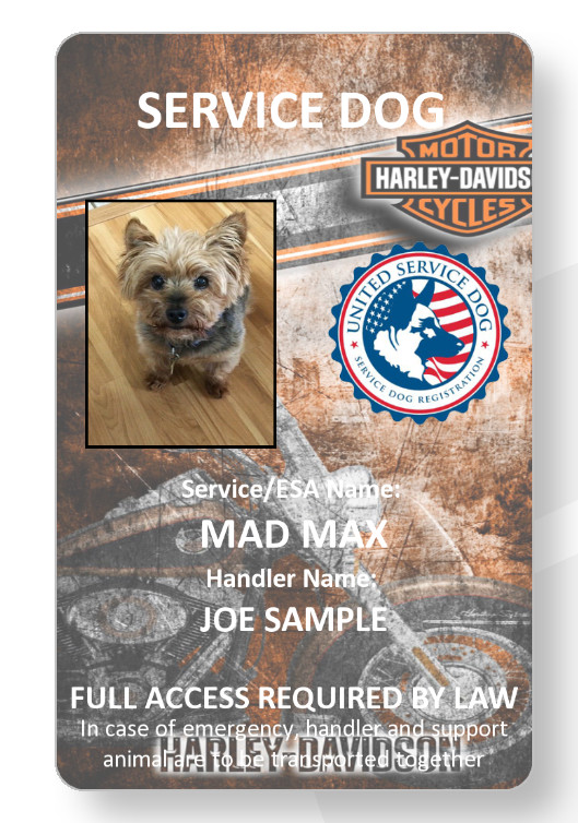 HARLEY Service Dog/Emotional support/Therapy Dog ID card