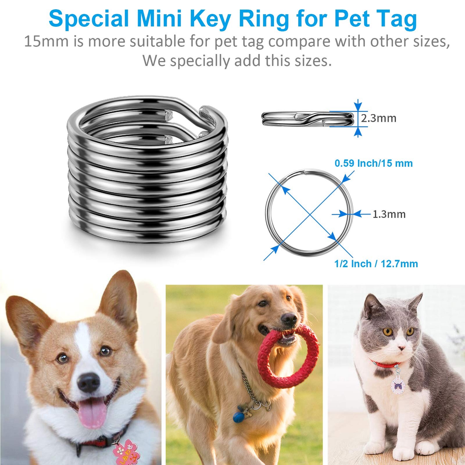 Split Key Ring Circle Assorted, Metal Keyring Durable in 5 Sizes