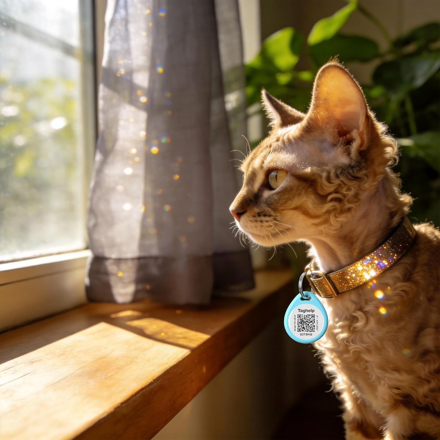 QR Code Cat ID Tag for Collar, Smart Pet ID with Online Profile, Instant Scan…