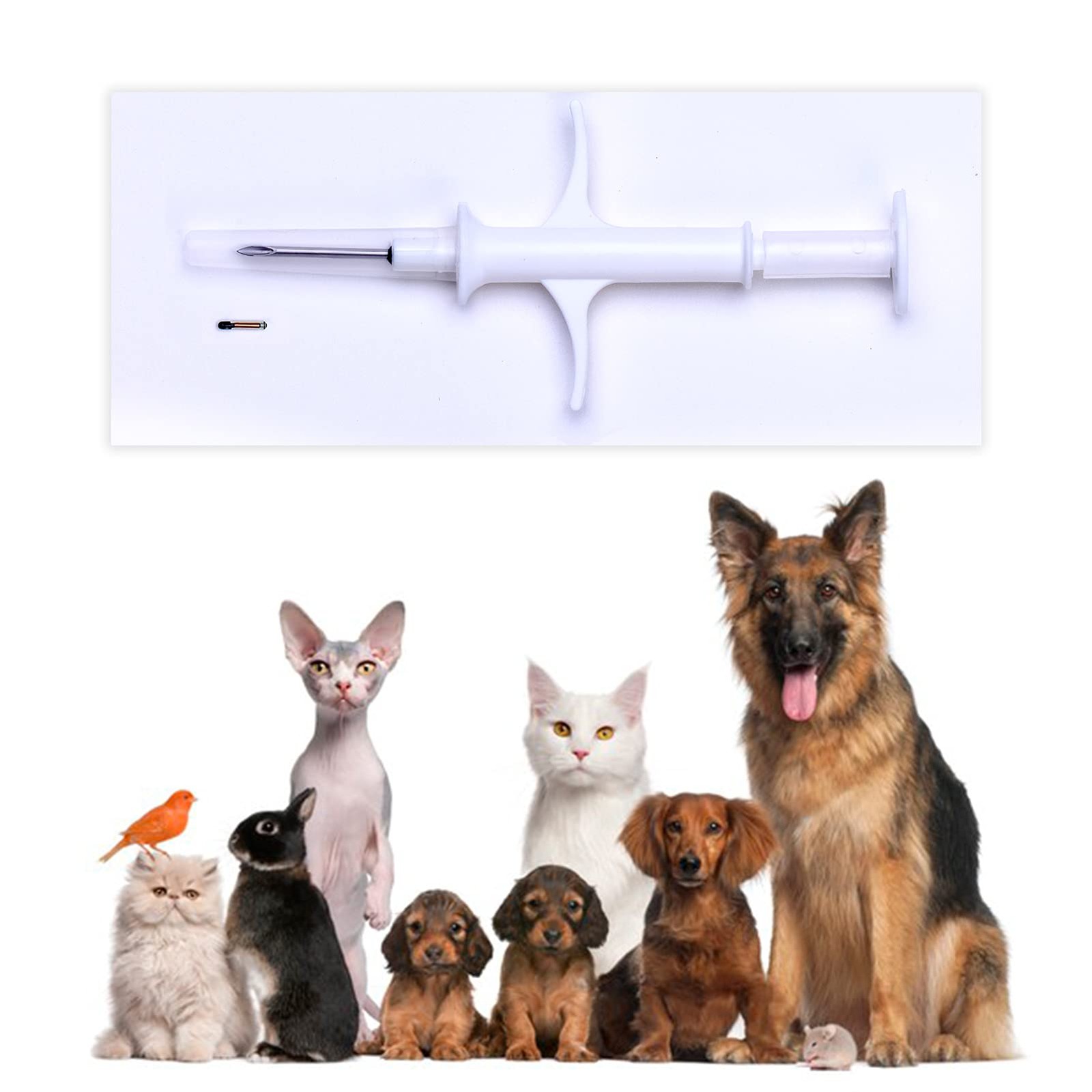 1 PCS Pet Microchip Implant Kit 1.25mm x 7mm Smart ID Tag Phone Connect