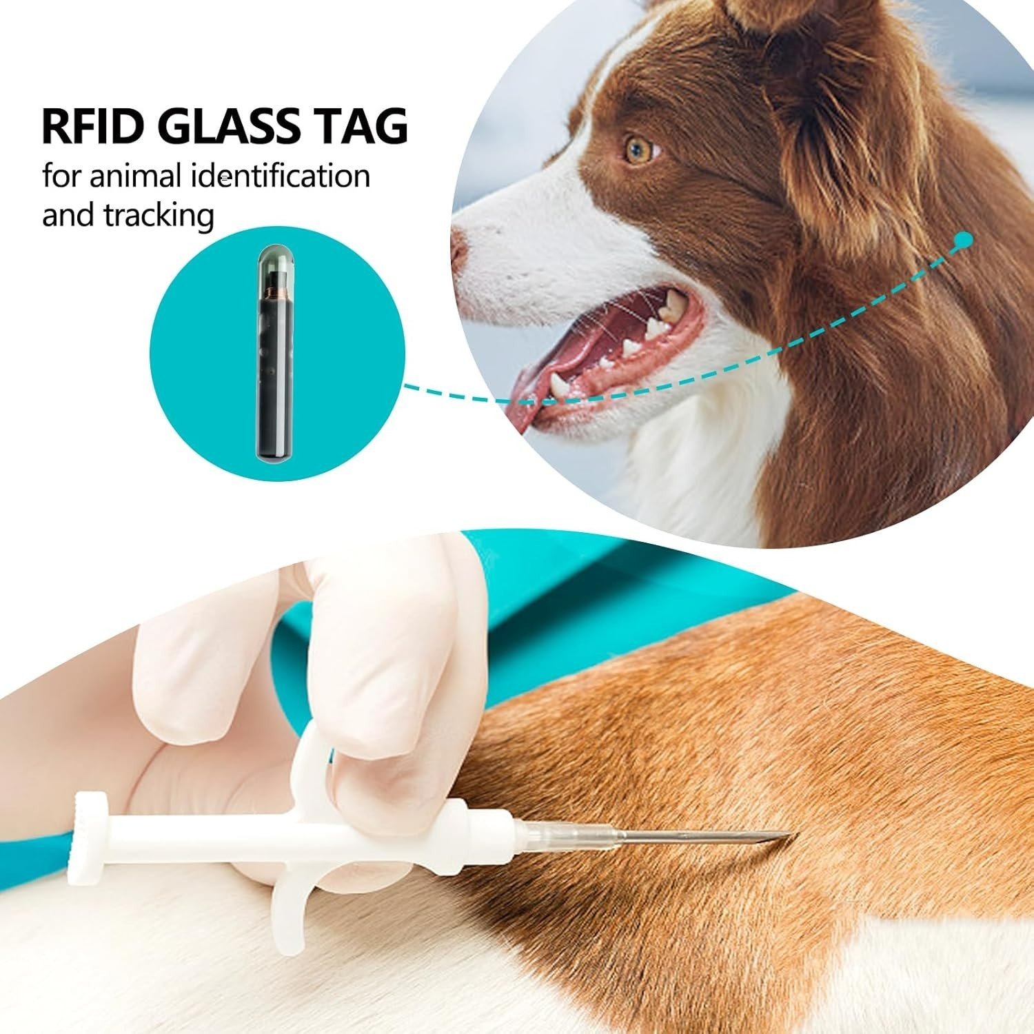 Microchip ID Bioglass Tags Injectable 1 Pack, Use for Dogs Cats Horse Sheep C…
