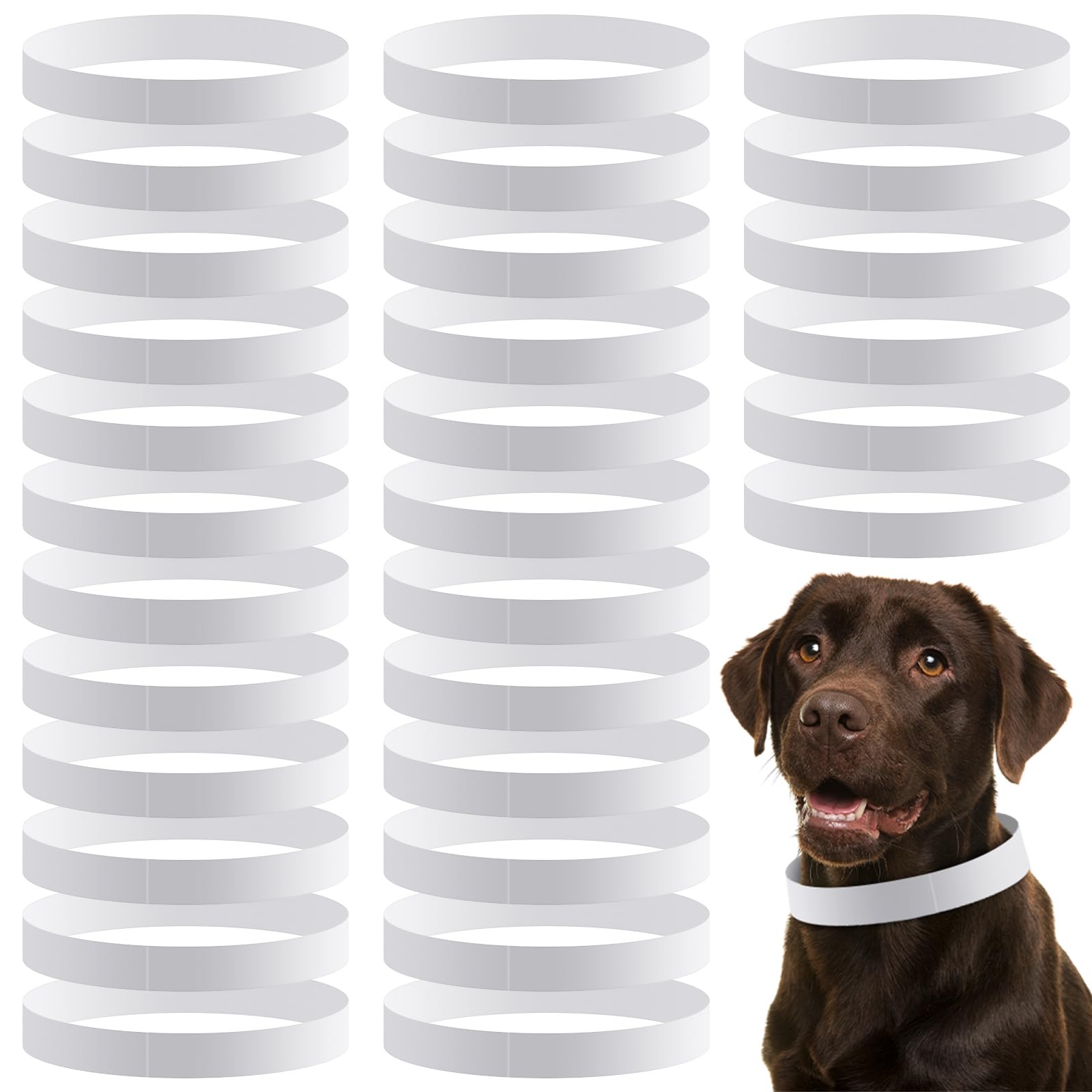 500 Count 20inch Adjustable Tear Resistant Waterproof Paper Dog Collars Puppy