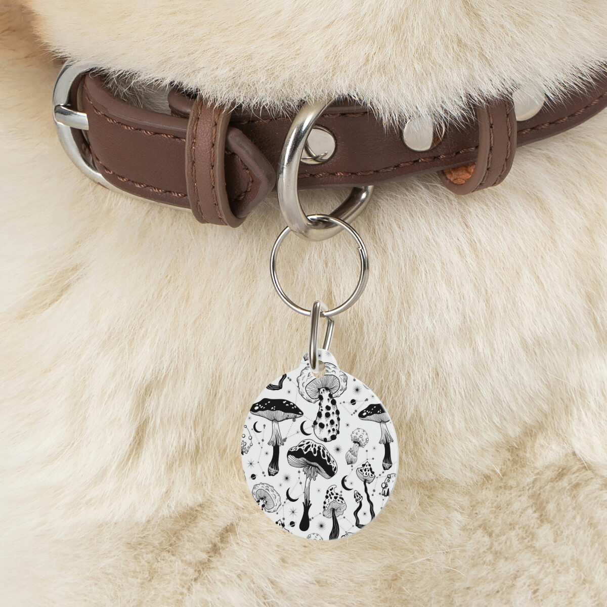 Pet Tag