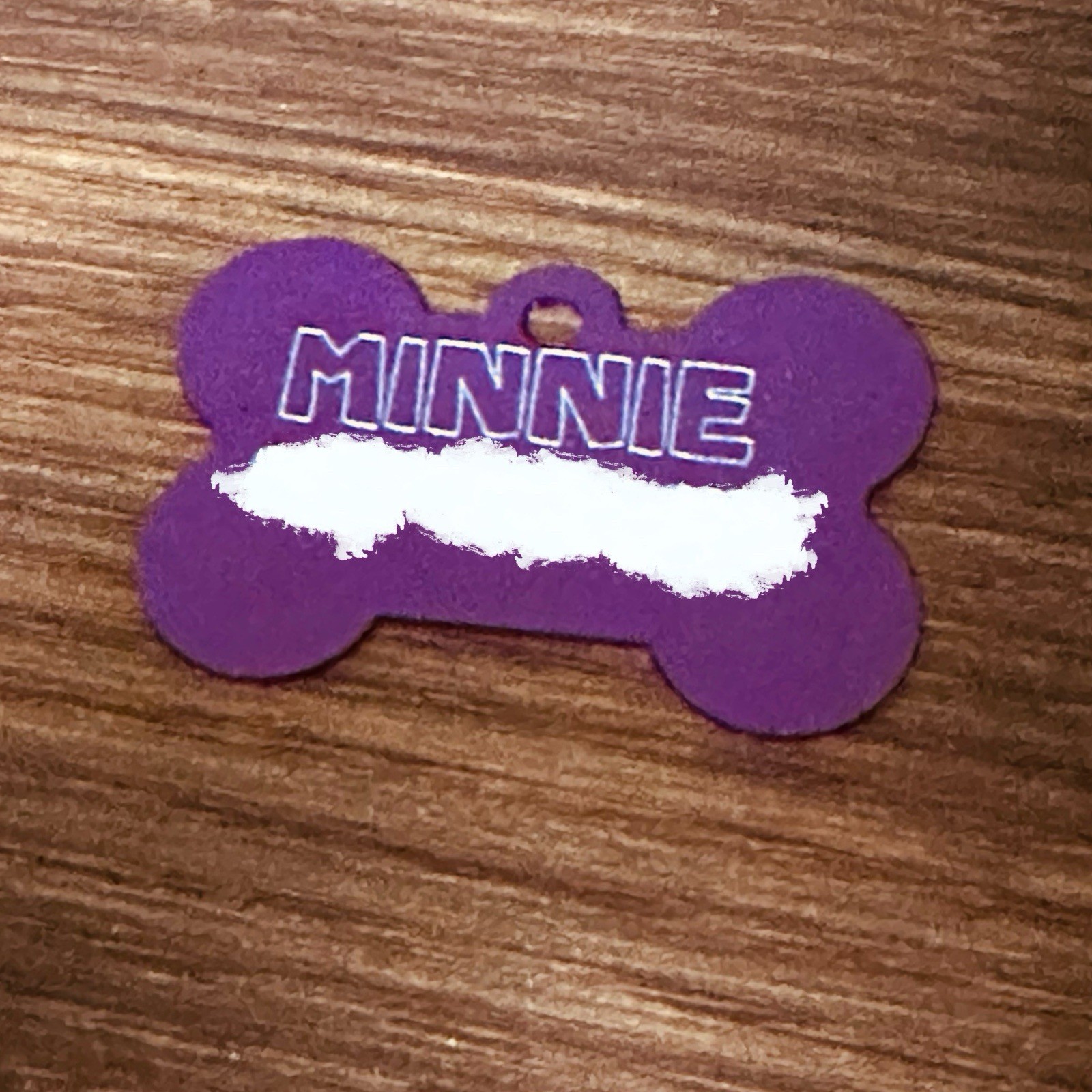 Engraved Pet Id For Cat Or Dog