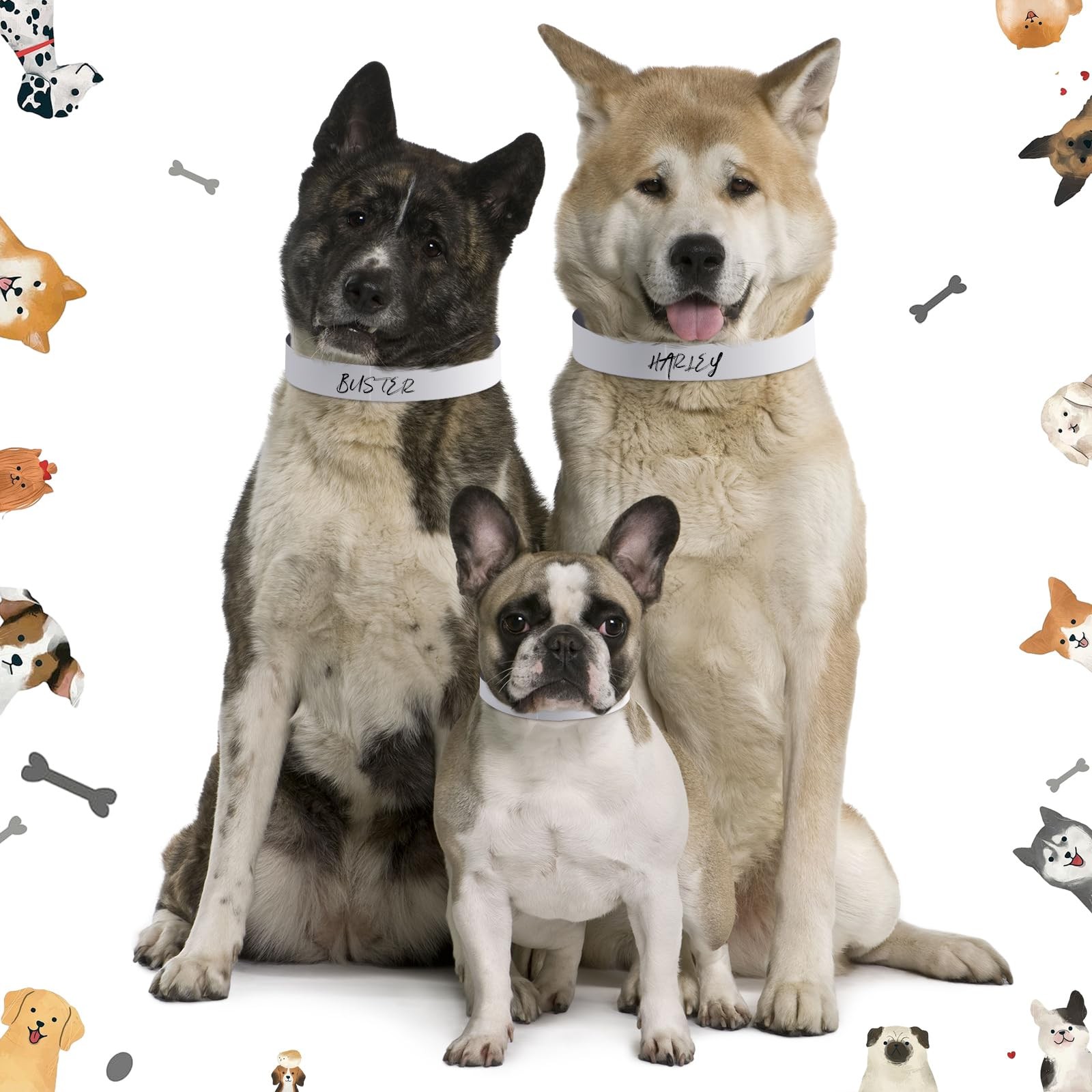 500 Count 20inch Adjustable Paper Dog Collars with Tear Resistant Waterproof …
