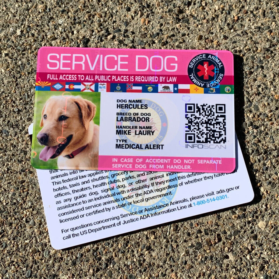 ADA Service Dog Card ID Badge Assistance Animal Badge ESA Holographic – PINK