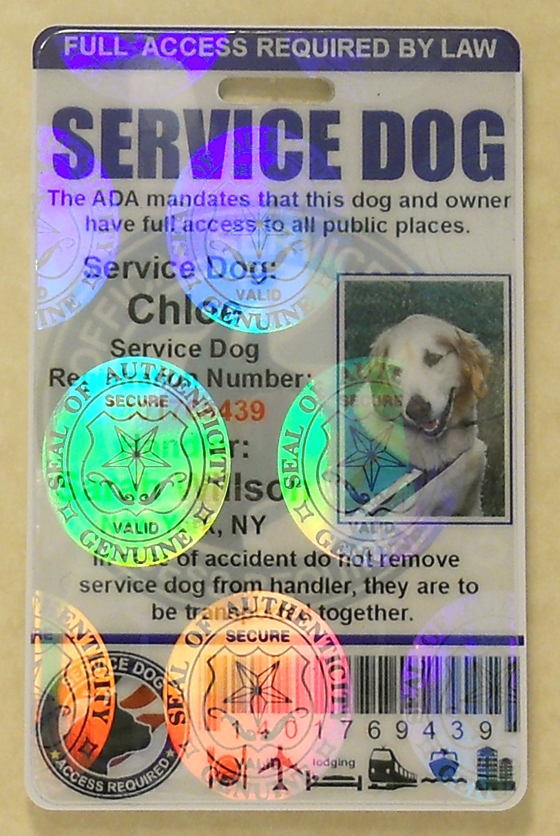 HOLOGRAPHIC PVC SERVICE DOG ID BADGE SERVICE ANIMAL ID CARD ADA TAG FOR VEST #0H