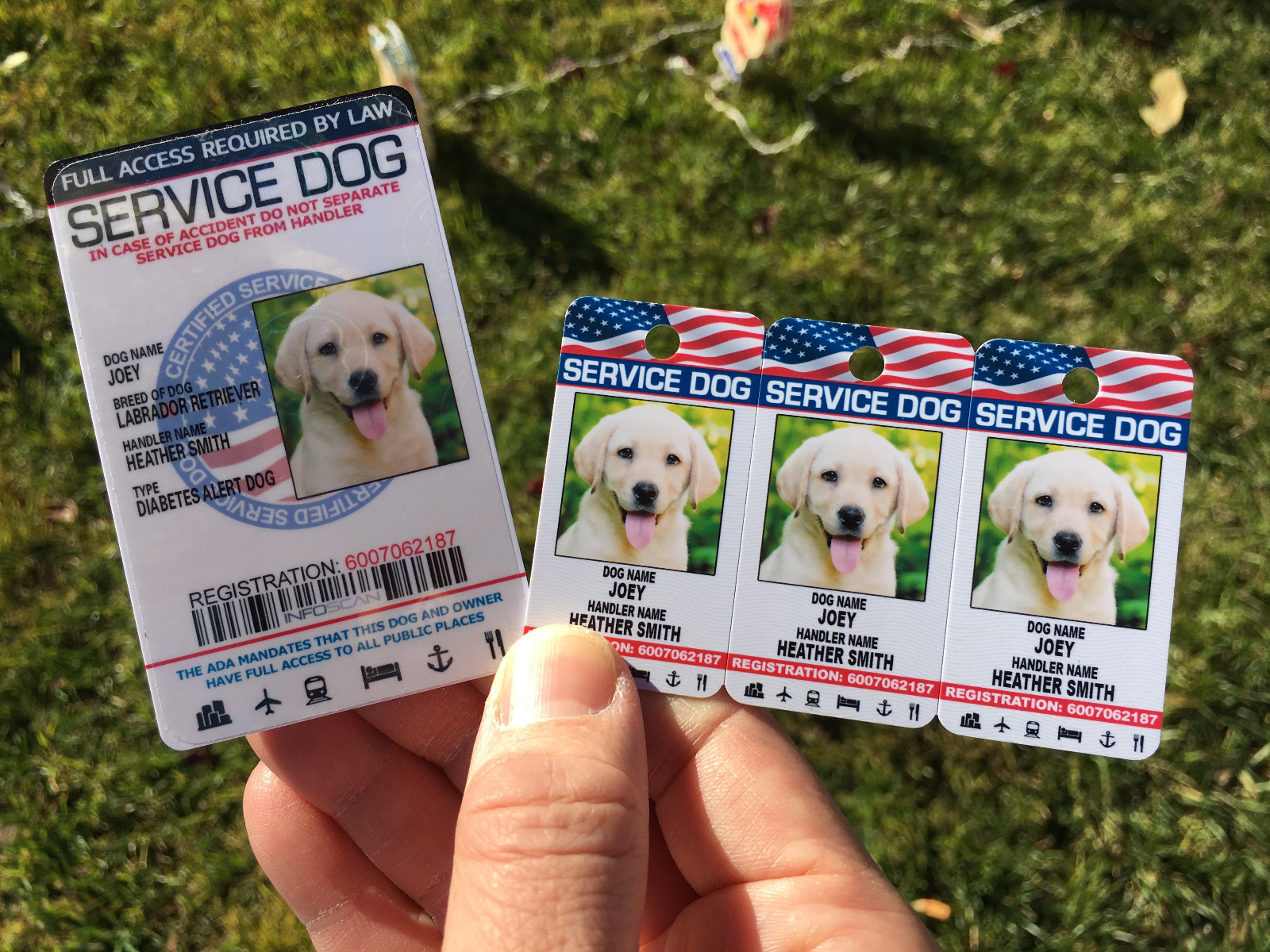 Service Dog Holographic Id Card + Keychain Collar Tag Plus Online Registration