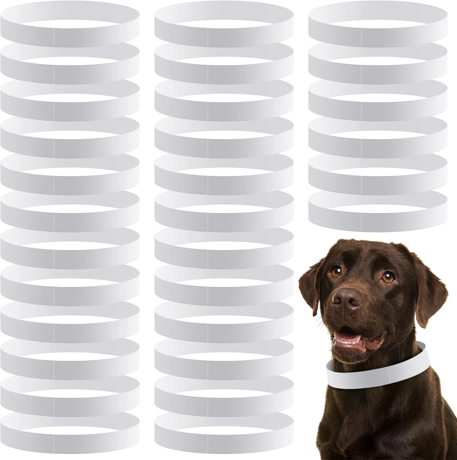500 Adjustable 20 inch Paper Dog Collars Tear Resistant Waterproof NEW
