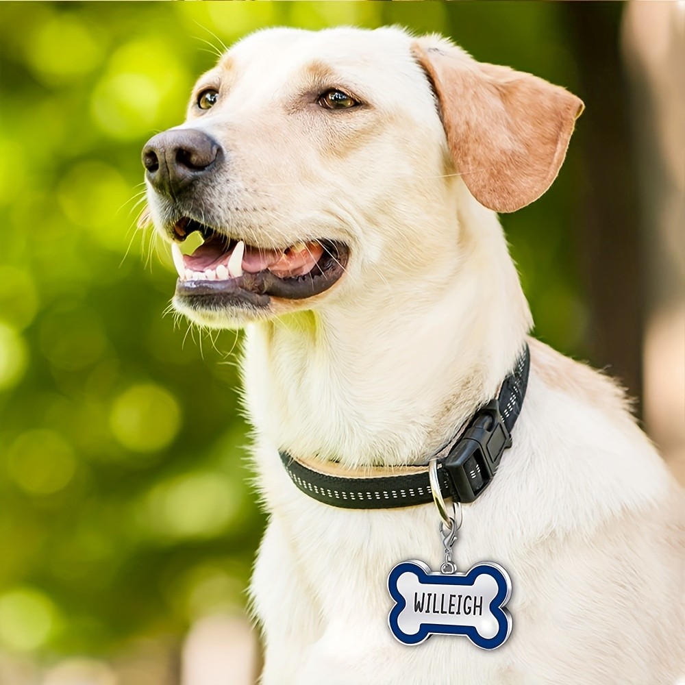 Durable Double-Sided High-Quality Smooth Sturdy Custom Engraved Metal Pet ID Tag