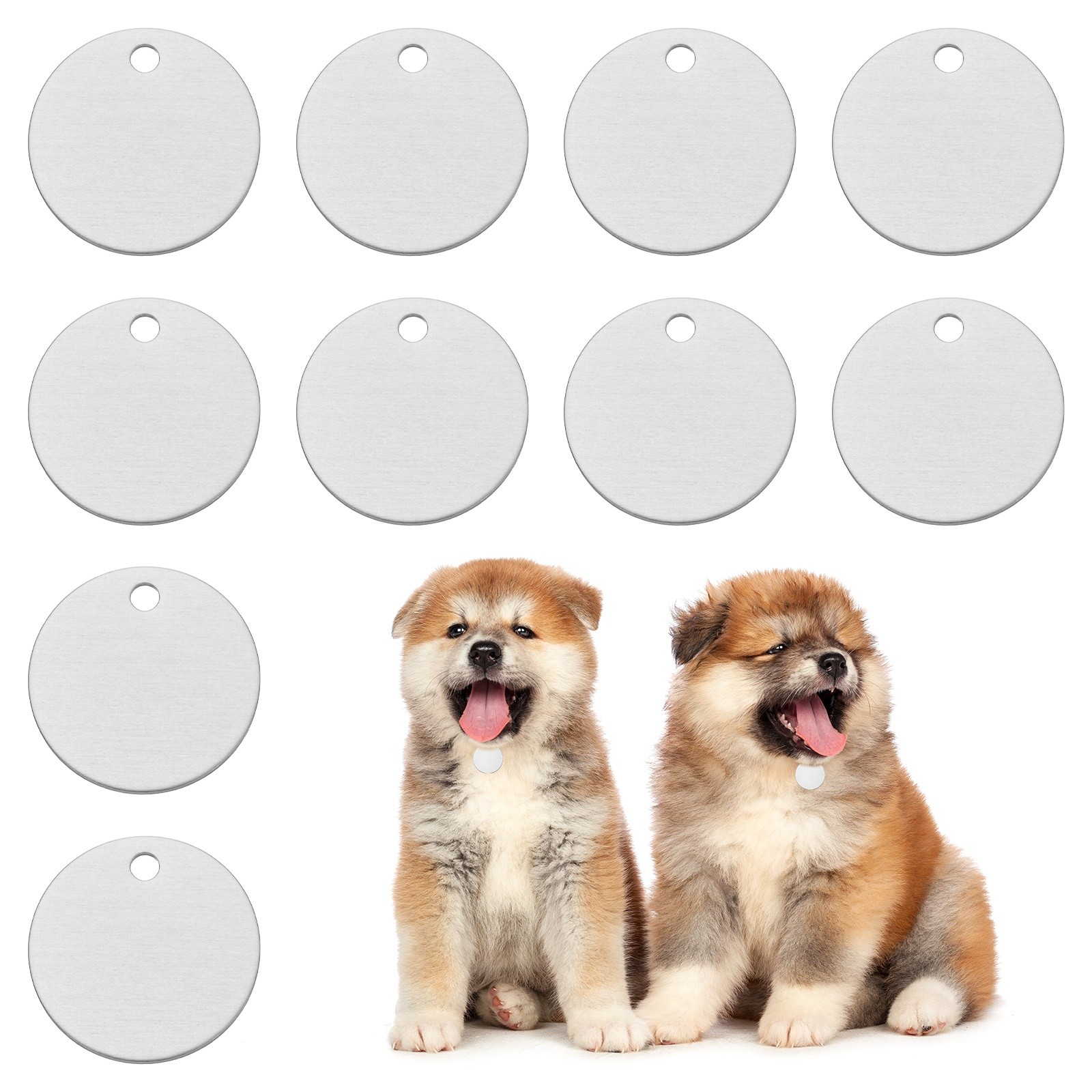 10pcs Aluminum Dog Tag 25mm Round, Empty Engraving, Silver