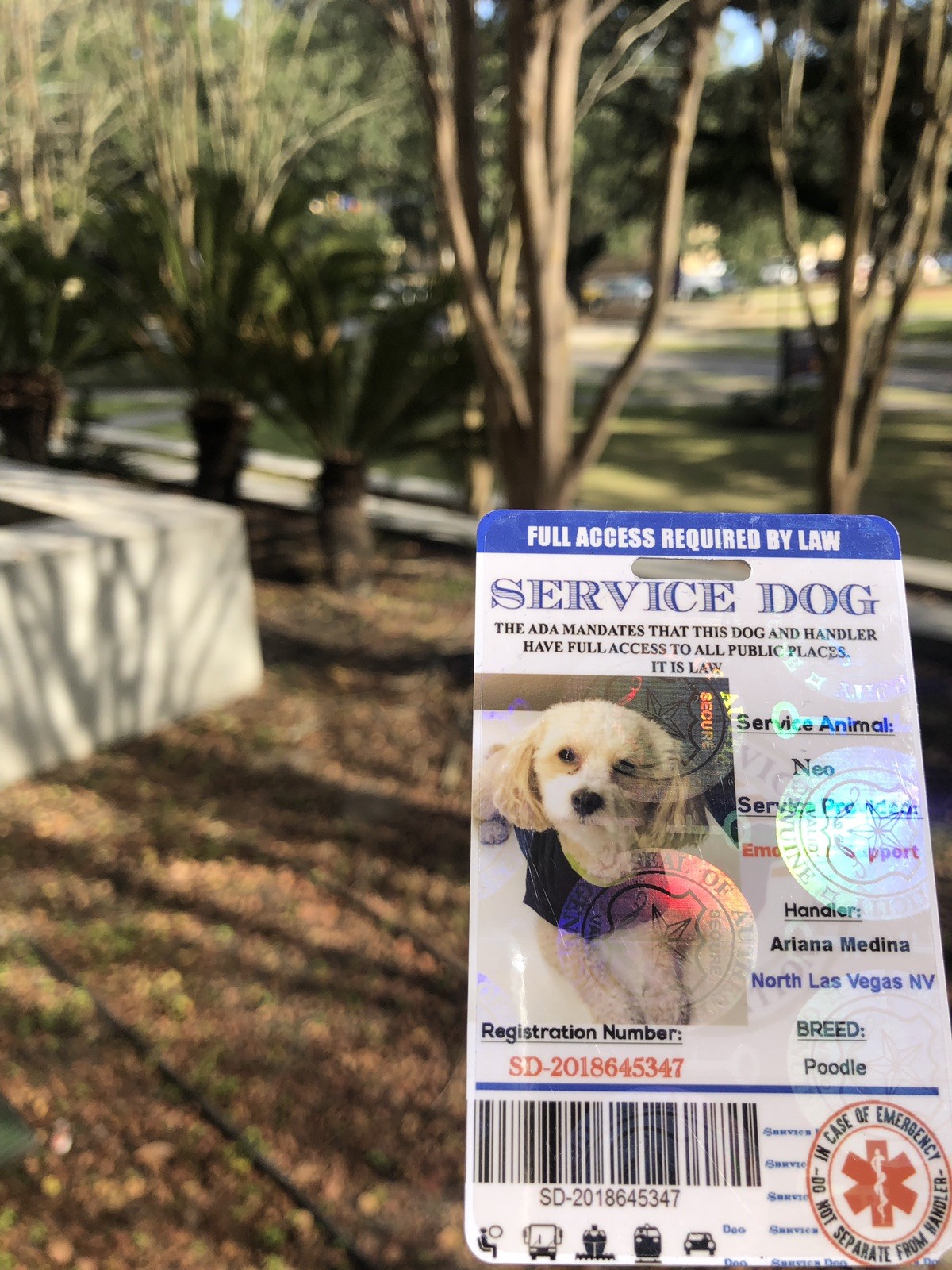 ADA Service Dog Card ID Badge Assistance Animal Badge ESA Holographic Charity
