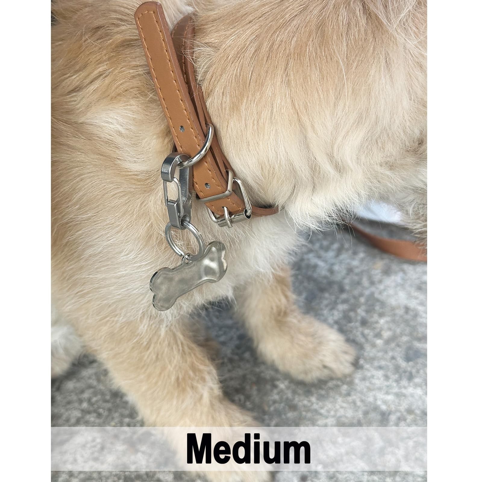 Stainless Steel Dog Tag Clips – 2 Pack Quick Clip ID Holder for Small Pets