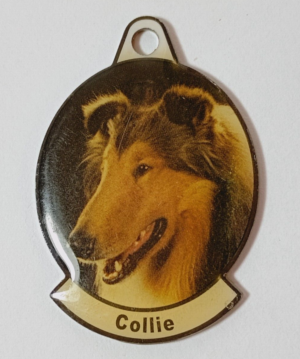 Metal Dog Breed Photo Tag. “Collie” For Dog Collar or Key Chain.
