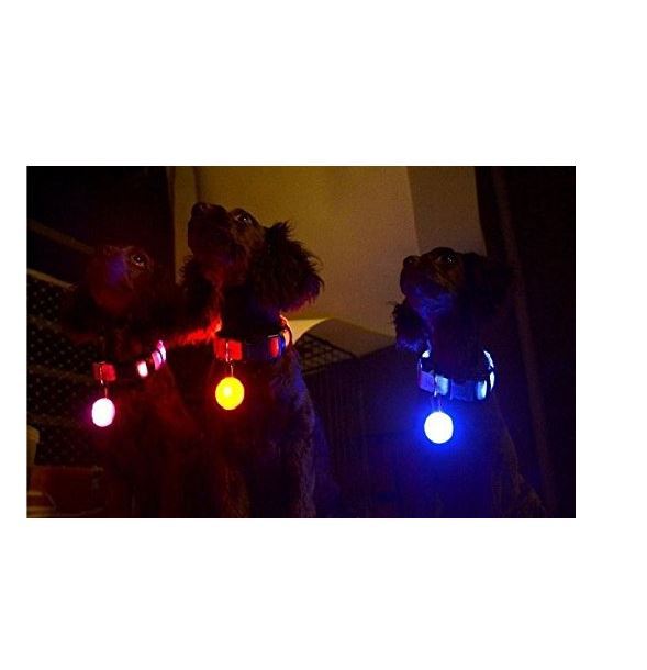 LED Spot Light Carabiner for Pet Dog Collar Leash Harness Multi-flashing Modes