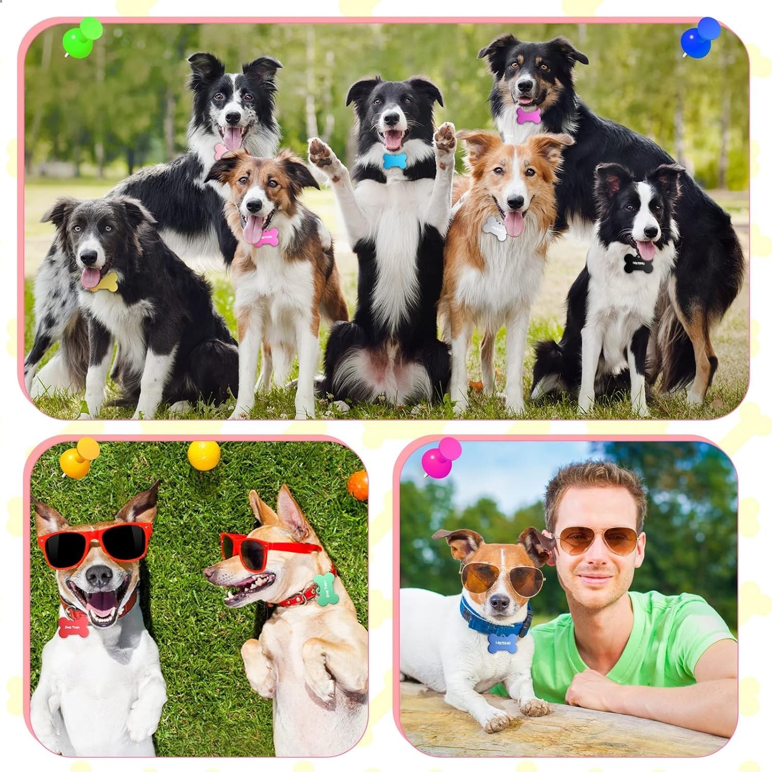 150 Pcs Blank Dog Pet Tags Bulk for Engraving 38mm Aluminum Bone Shape Name T…