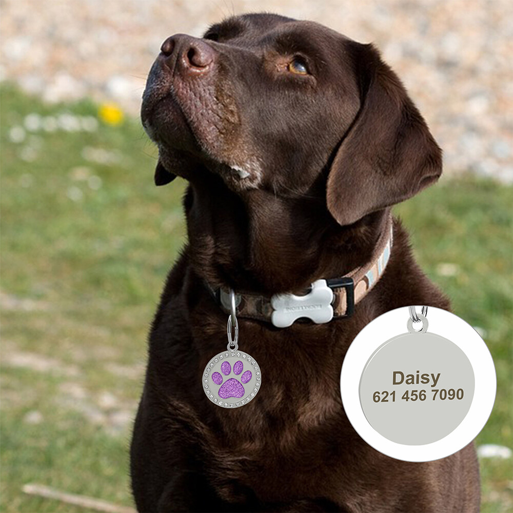 Paw Cat Dog Tags Personalized Custom Pet Name ID Engraved Rhinestone Bling Tag