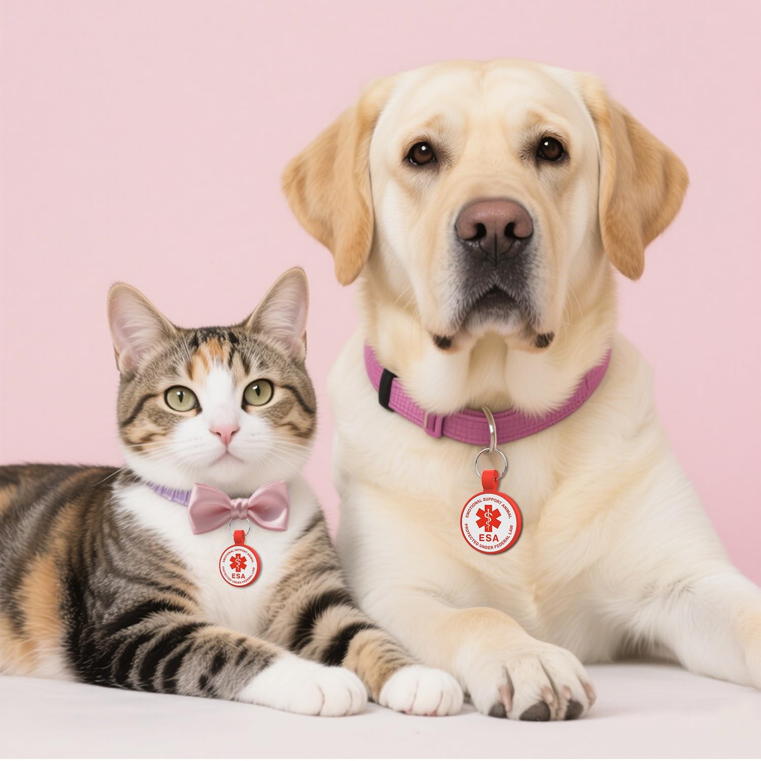 ESA Dog Tag Red Regular QR Code Modifiable Pet Profile Scannable ID Silicone