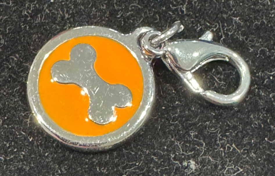 Orange Round Dog Bone Name Tag