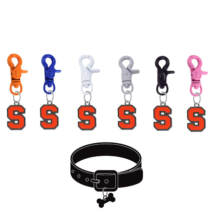 Syracuse Orange Pet Tag Collar Charm COLOR EDITION College Dog Cat