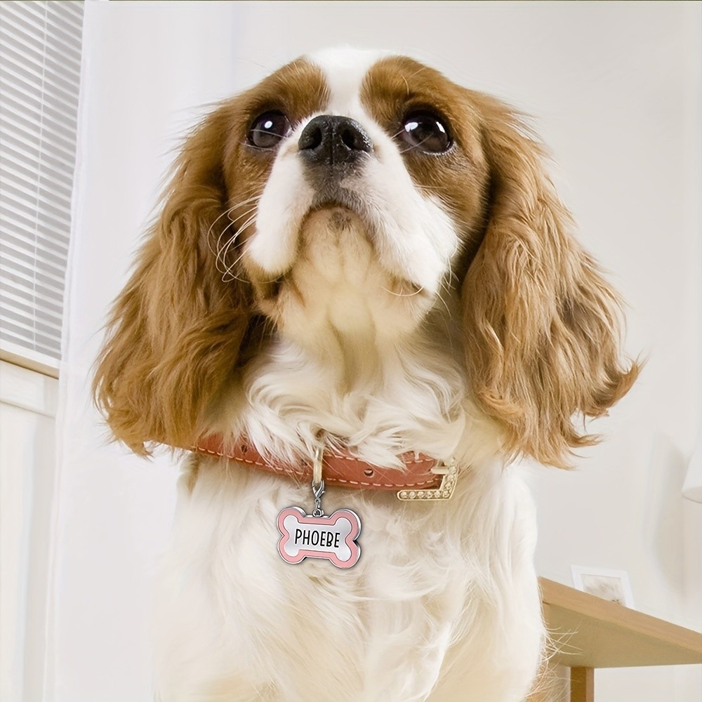 Durable Double-Sided High-Quality Smooth Sturdy Custom Engraved Metal Pet ID Tag