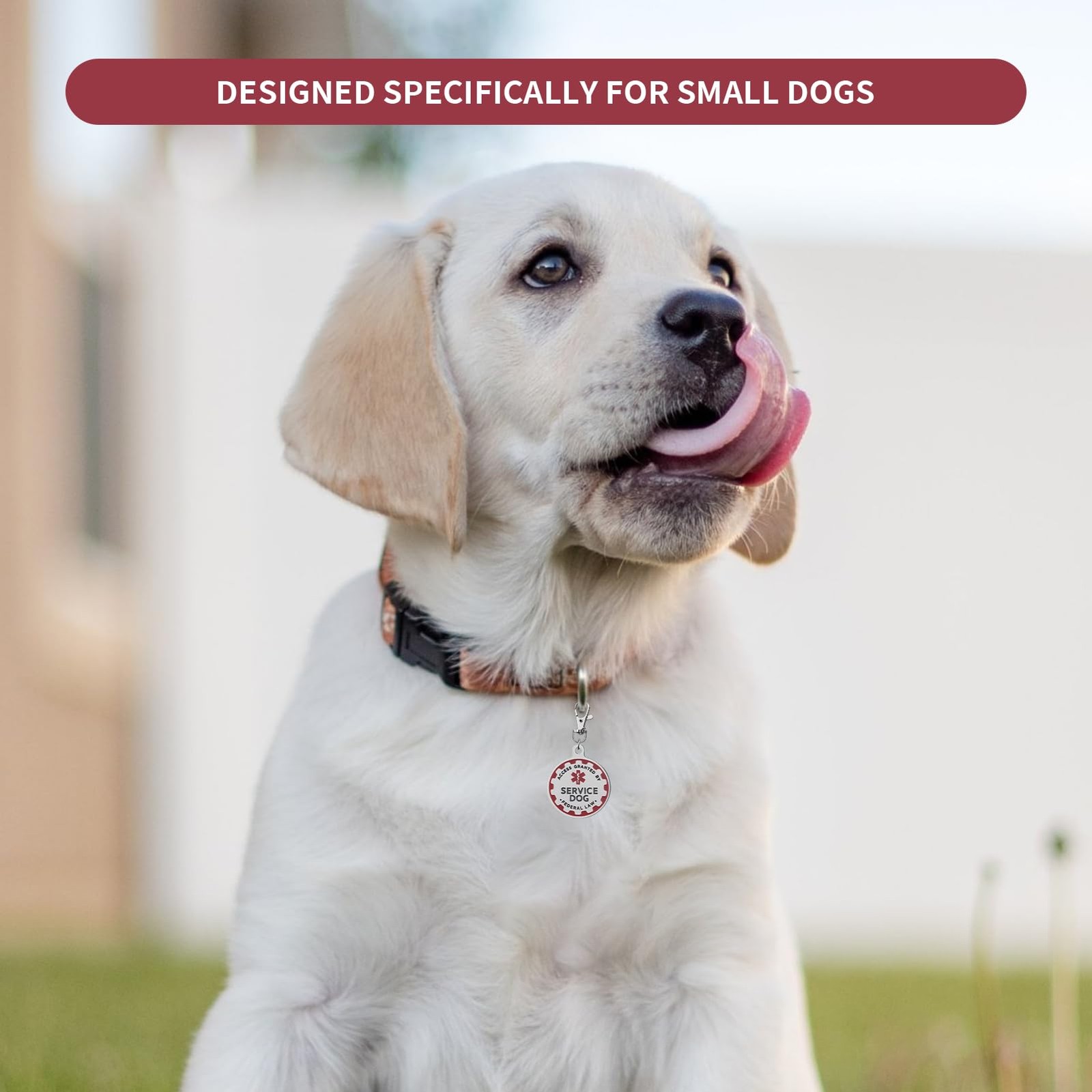 Dog TAG Industrial Puppy for Animals, Emotional Dogs & Therapy Dogs Entirely …