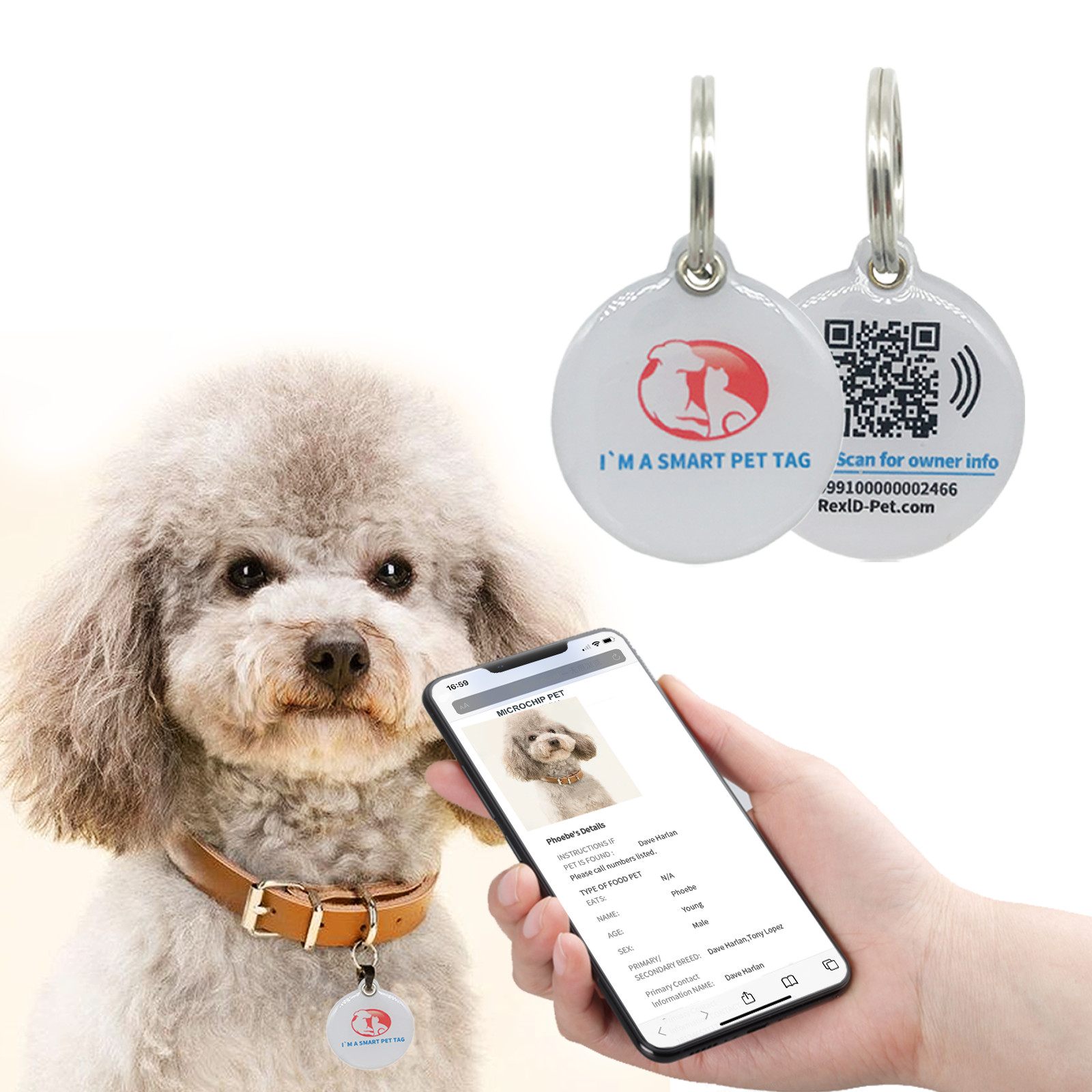 RexID Round Dog Tag QR Code Pet ID Tags Smart Permanent ID Tag