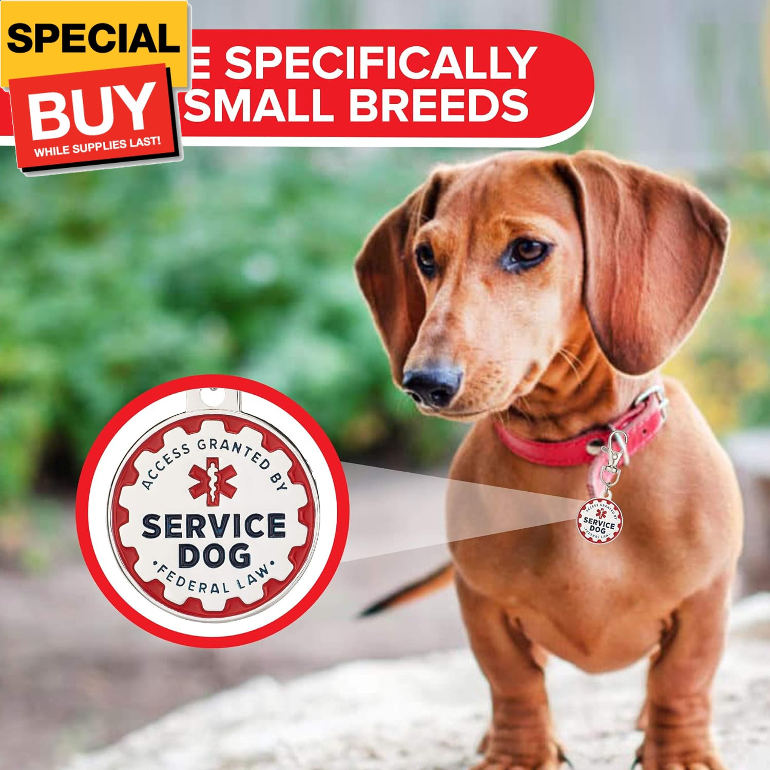 2 Pack Service Dog Tag Double Sided: Metal Pet ID Tags for Service Animals, Emot