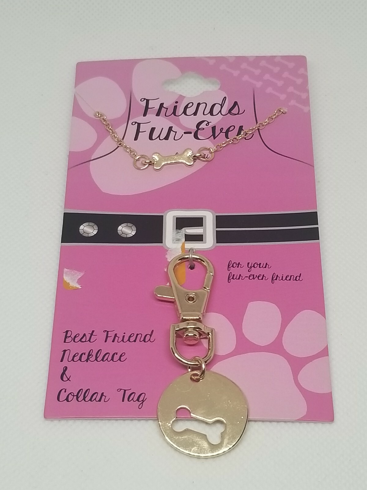 Womens Fashion Jewelry Necklace Dog Pet Collar Tag Set RAA