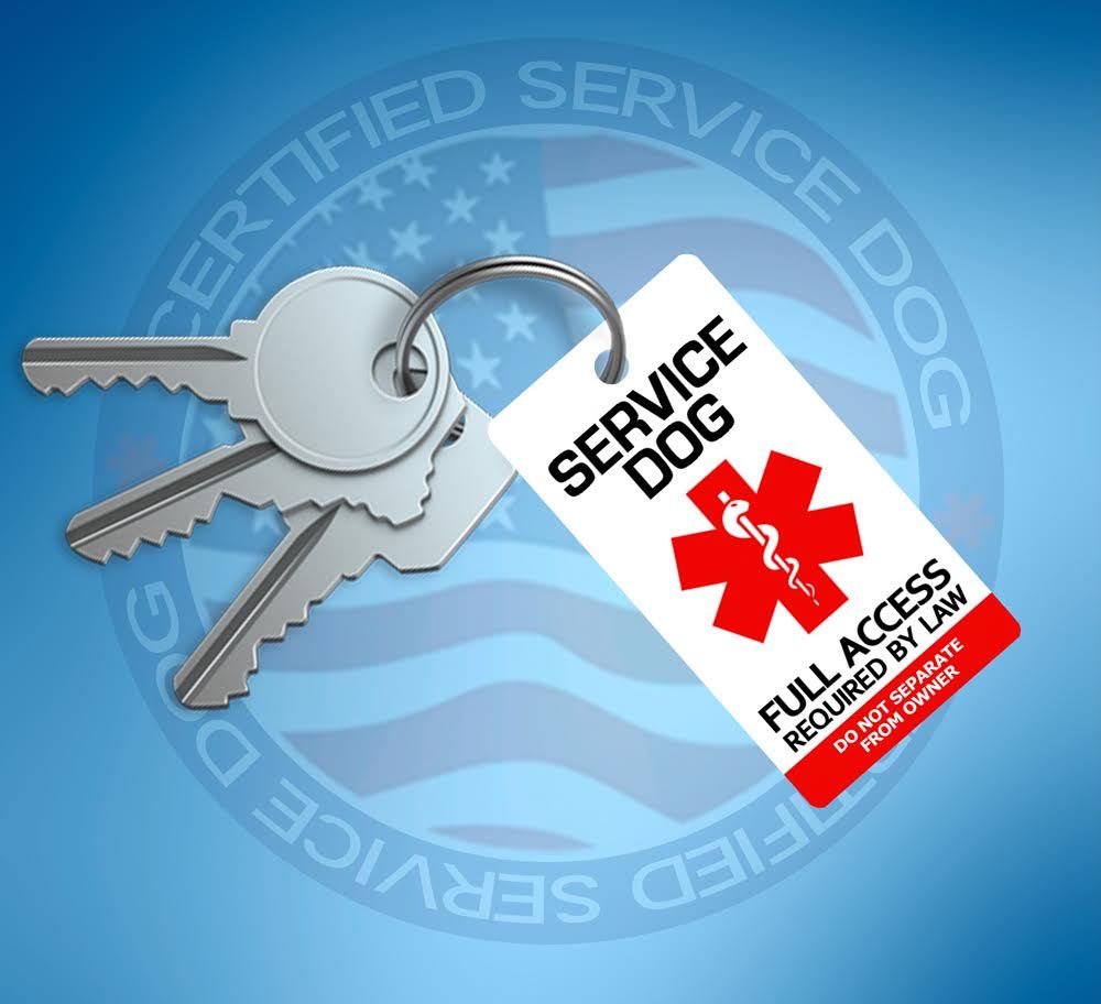 2x SERVICE DOG ID TAG KEY CHAIN / COLLAR TAG FOR ( 2x tag for 5.50 )
