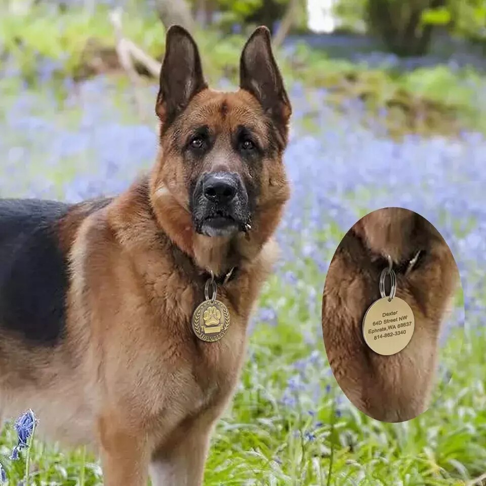 Personalized PET Tags NAME ID Dog Cat Tag Brass Tags Military Custom Engraved US