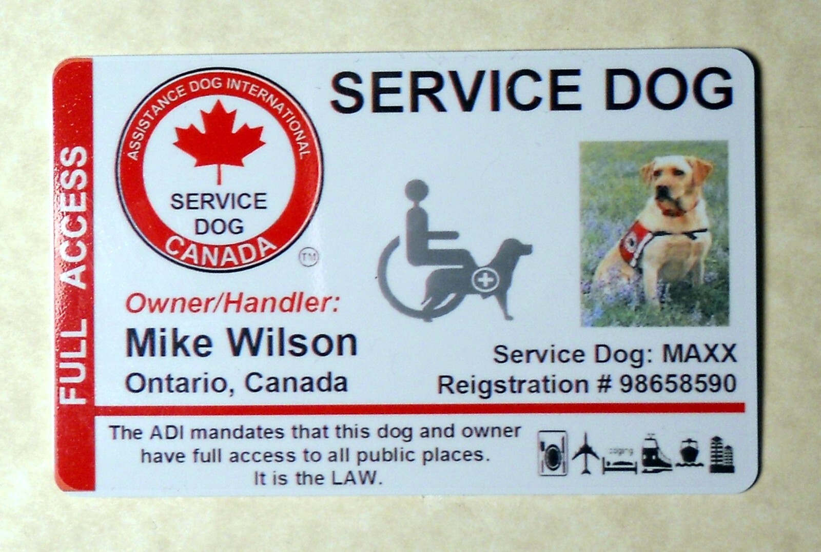 CANADIAN SERVICE DOG ID CARD – ASSISTANCE DOG CARD ID BADGE for Canada