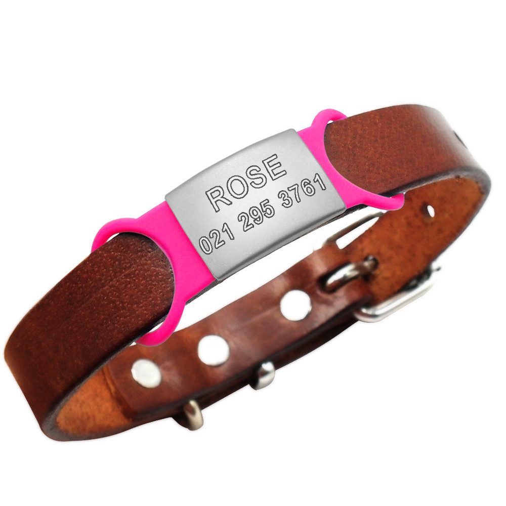 Dog ID Tags Personalized Engraved Slide on No Noise Name Collar Tag for Pets Cat