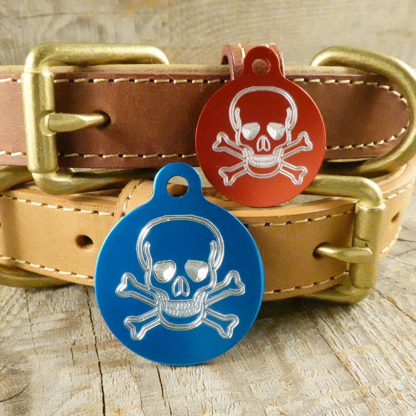 PET TAG DOG CIRCLE CUSTOM DIAMOND ENGRAVED SKULL DETAILS BACK 2 SIZES W/ RING