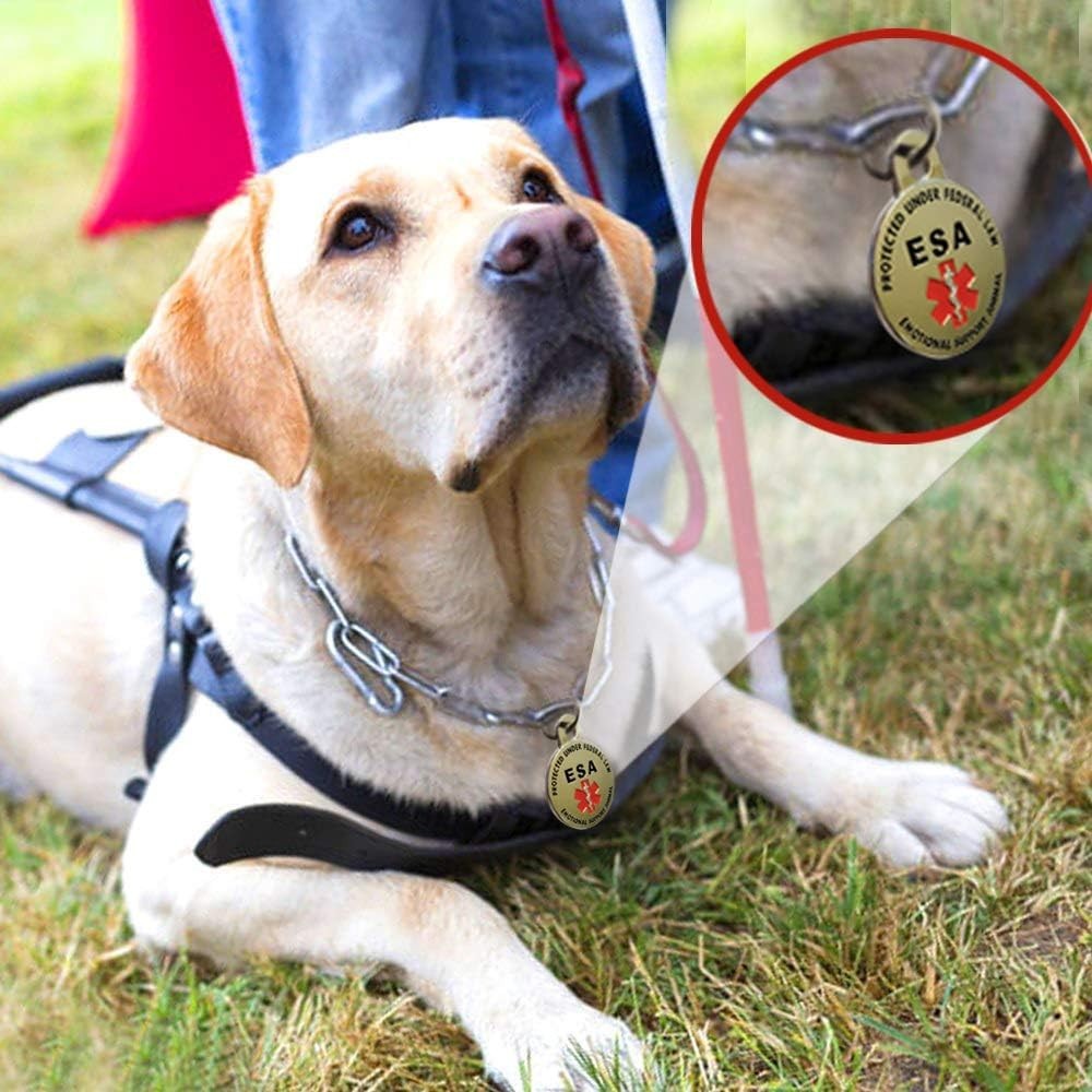 Durable Personalized ESA Tag – Eye-Catching Red Service Dog ID for Medium Breeds