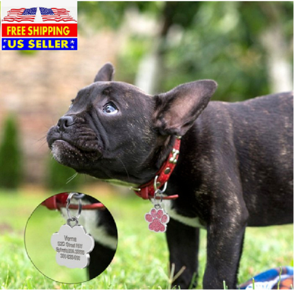 Paw Laser Custom Engraved Dog Cat Tag Personalized with Free Split Ring