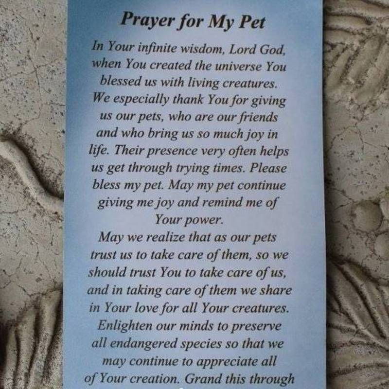 Pet Medal Tag Charm Cat Dog St. Francis Assisi Protector Of Animals Prayer Card