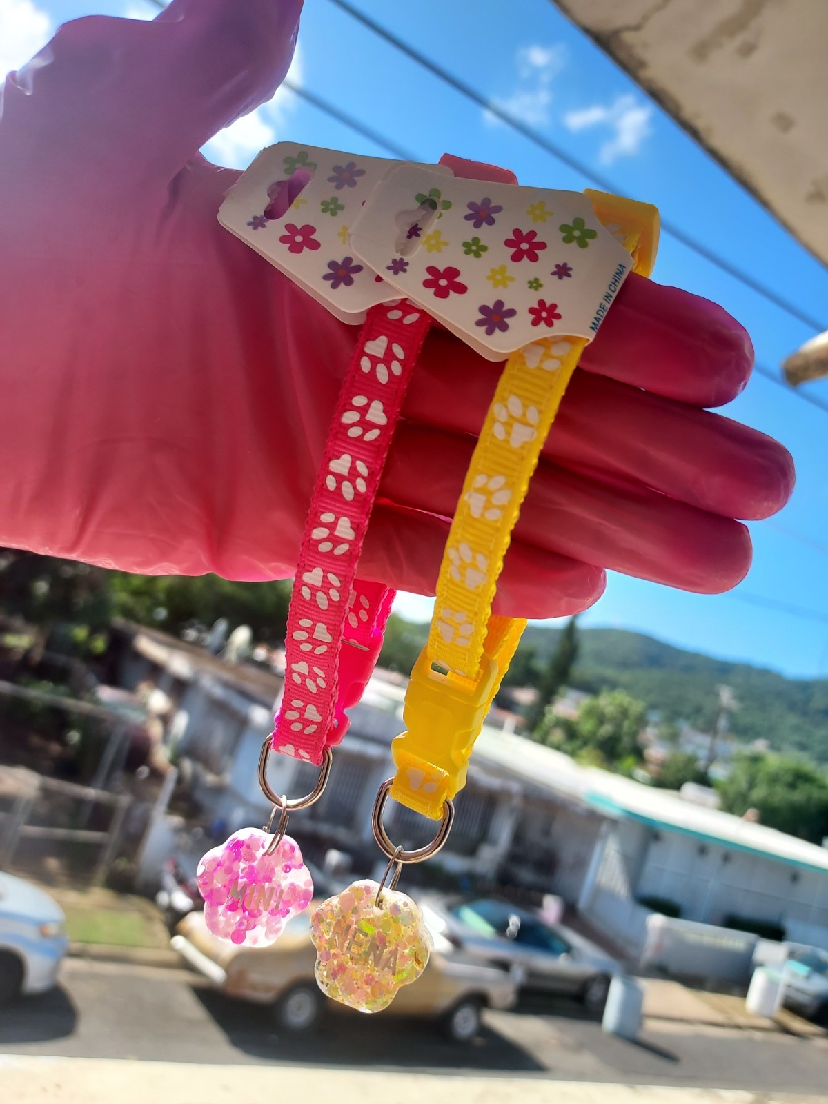 Collar personalizado para mascotas glitter