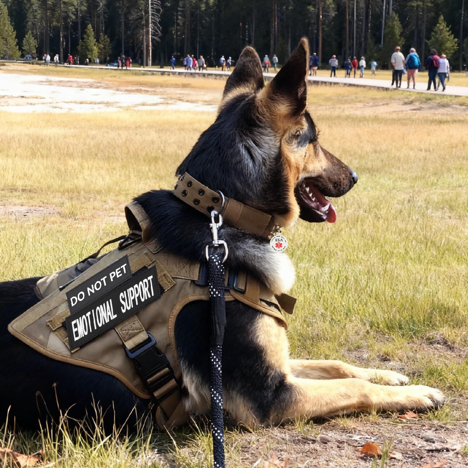 Emotional Support Animal Patches ESA Dog ID Tag Collar Harness Large 1.5×5.12