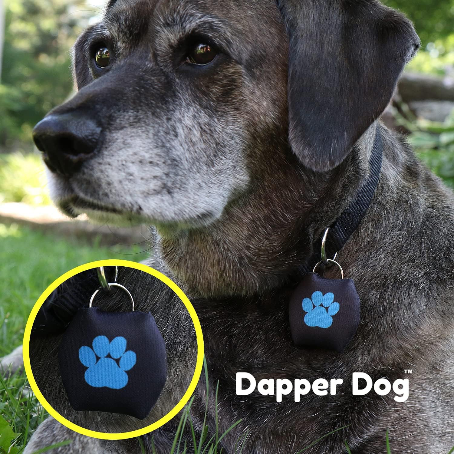 Dapper Dog – Dog Tag Silencer with Tag Ring (Black, Large Dark Blue Paw Print)