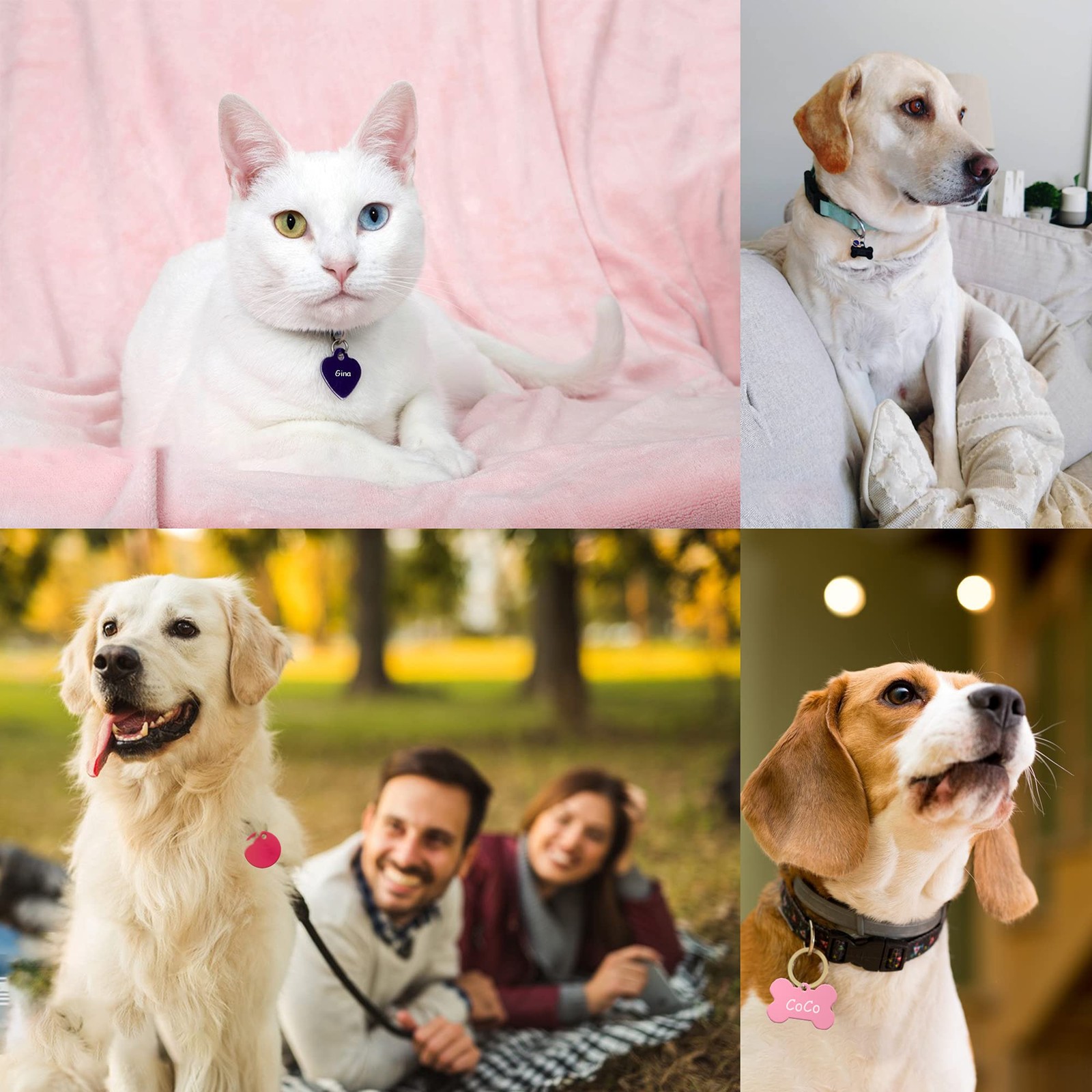 140pcs Pet ID Tag Set with 40pcs Colourful Blank Dog Tags Double Sided Alumin…